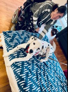 A black-spotted Dalmatian puppy rests on a deep blue bed spread. His owner sits in her red wheelchair and grey sweater, to the left of the frame. Both are beaming up, toward the camera, as soft morning light fills the room.