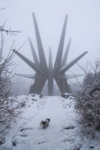 A winter scene with a small dog approaching an intimidating spiky structure